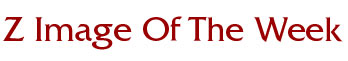 Z Image Of The Week